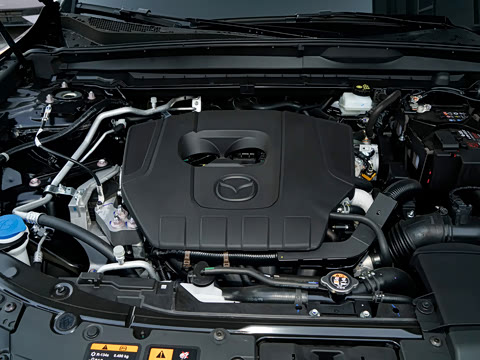 2026�� 2.5L ���а�