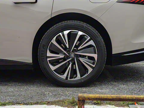 2025�� ������