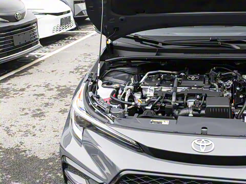 2026�� ����L ���ܵ��˫�� 1.8L ������