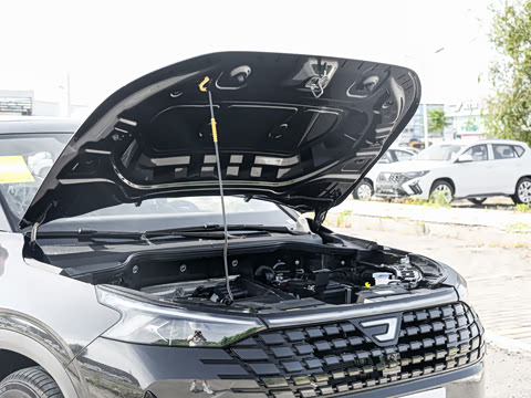 2026�� 280TSI �Զ����а�