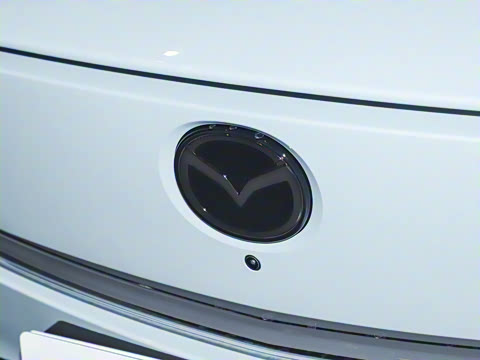 2025�� ����600 Pro