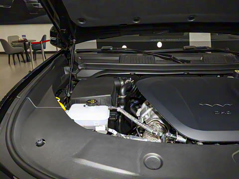 2025�� �����콢�� 5��