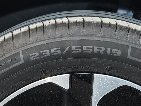 2025�� ���� Pro