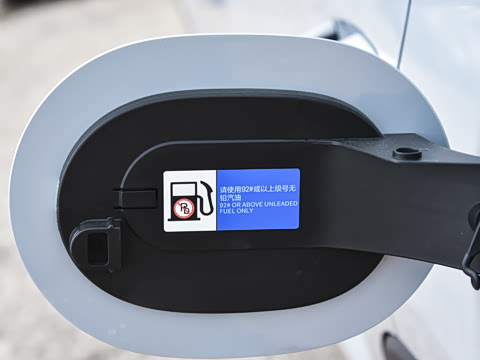 2026�� DM-i 220KM��Խ��