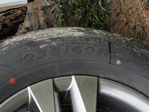 2026�� 2.5L ˫������������