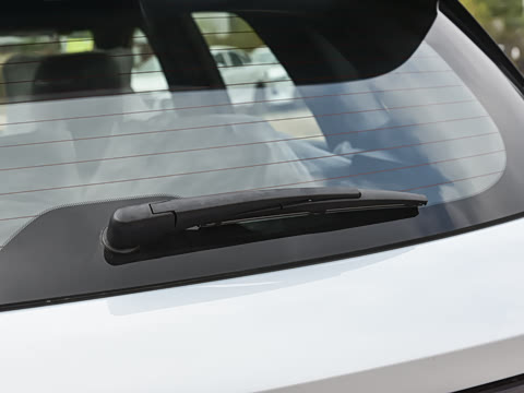 2026�� DM-i 220KM��Խ��