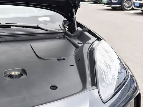 2025�� �Ŀ� 350 Max���������״��