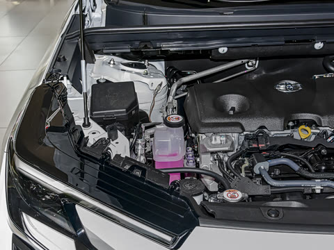 2026�� ˫�� 2.5L �����콢��