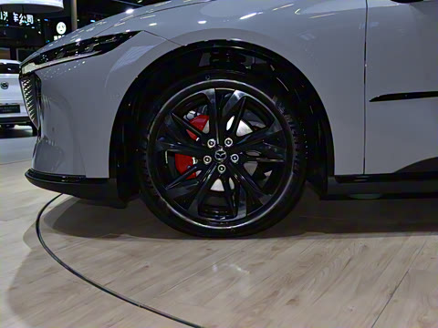 2026�� ����200 Max�˶���