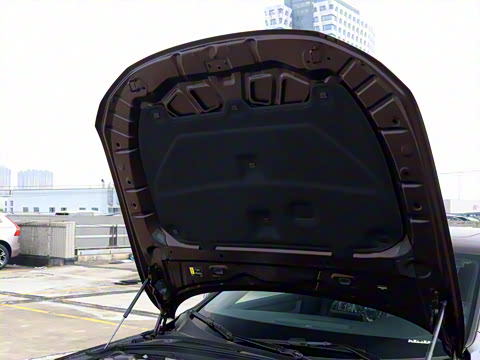 2026�� B5 ���ݺ�����