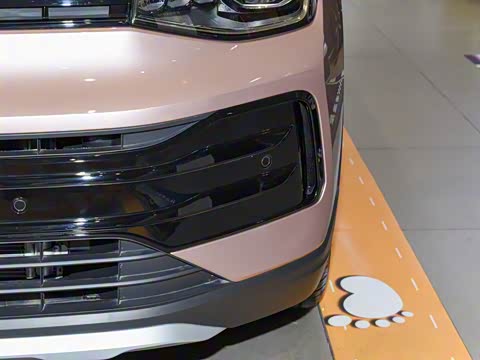 2026�� ���� 300TSI ������