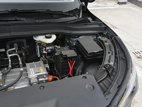 2025�� 565km ������