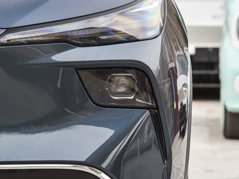 2025�� 445km ���ð�