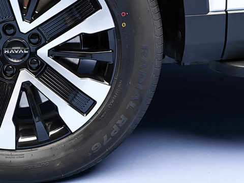 2026�� 255km ������