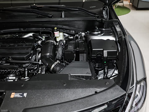 2025�� 2.0T ��������������