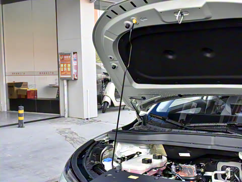 2025�� 565km ������