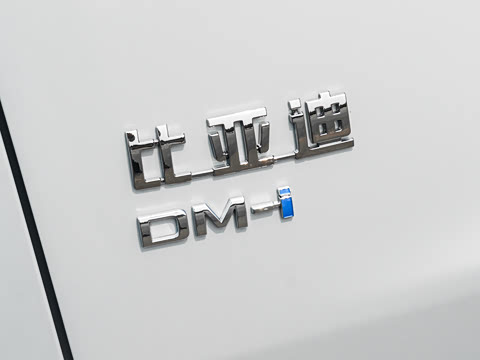 2026�� DM-i 310KM ׿Խ��