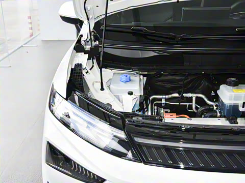 2026�� ������������