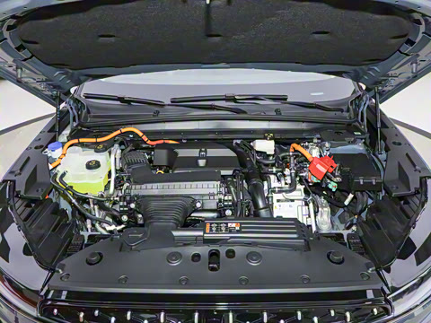 2025�� �Ŀ� 2.0T �������ݻ춯��