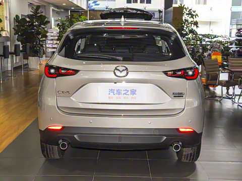 2025�� 2.0L �Զ�����������