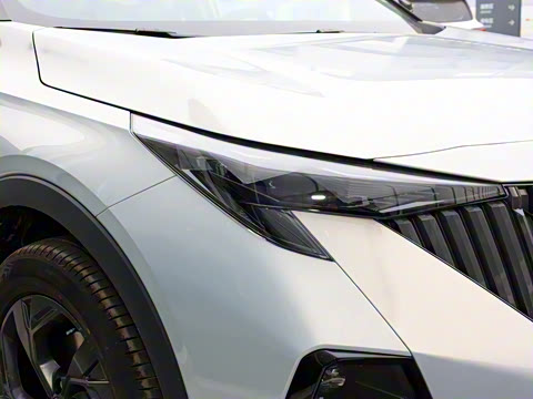 2026�� Ӱ�� 270T ������