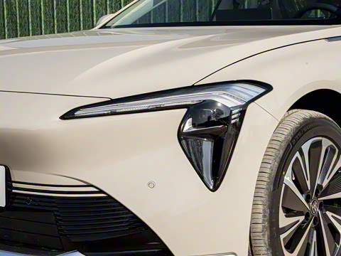 2025�� ������