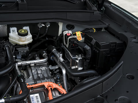 2026�� ���� �����