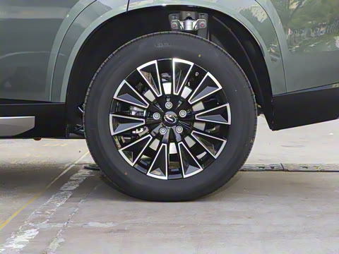 2025�� 205km Pro+��