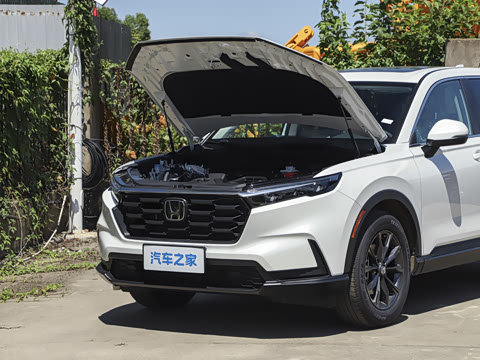 2026�� ȫ��30����ҫ�� 1.5T ��������5����
