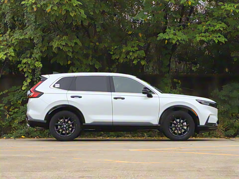 2026�� ȫ��30����ҫ�� 2.0L e:HEV �������