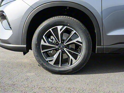 2026�� DM-i 133KM��ȡ��