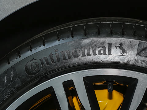 2026�� ����������������