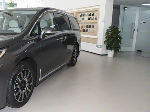 2025�� EV �������������