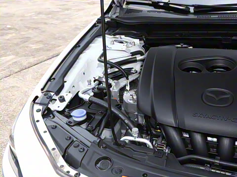 2025�� 2.0L �Զ���ҫ��