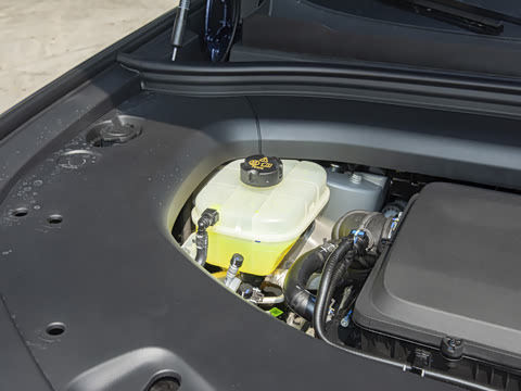 2026�� ���� Max������ 5��