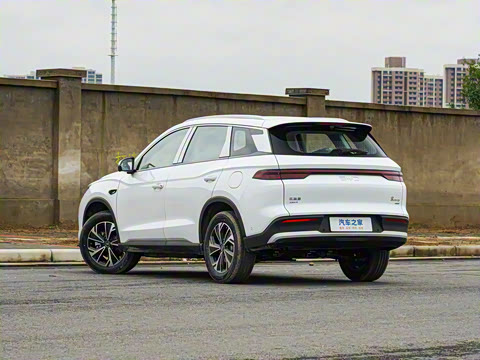 2026�� DM-i 133KM��Խ��