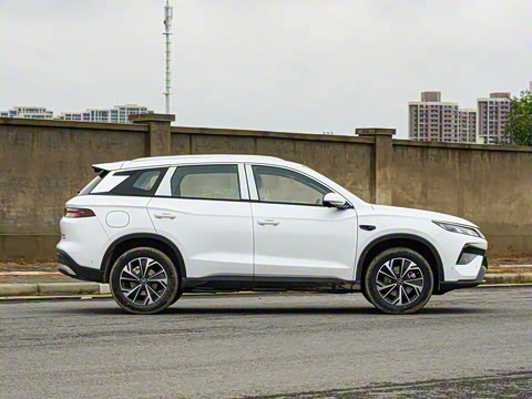 2026�� DM-i 133KM��Խ��