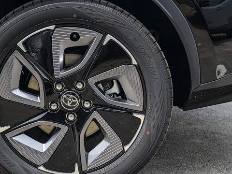 2026�� ������ JOY