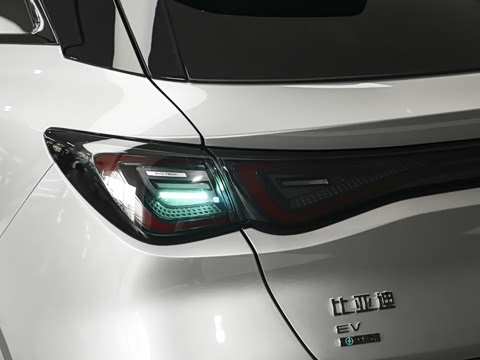 2026�� 620����Max��