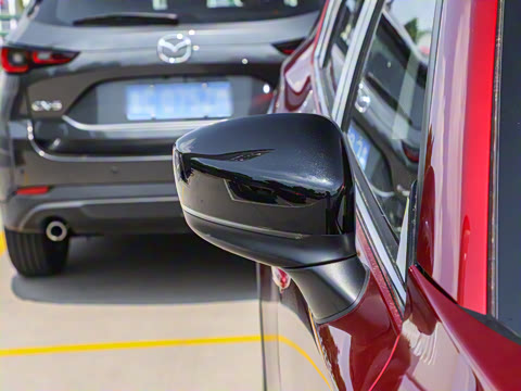 2025�� 2.0L �Զ���������Pro