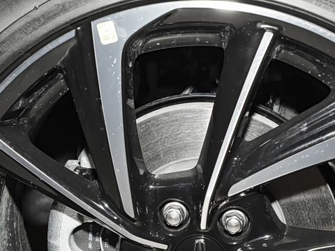 2025�� 2.0T ������ҫ��