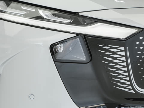 2025�� ����600�����˶���