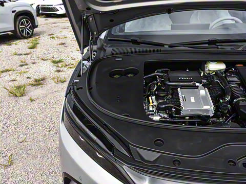 2025�� DM-i �Ǽݰ� 245KM�����