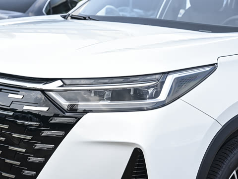 2025�� 290T ��������+