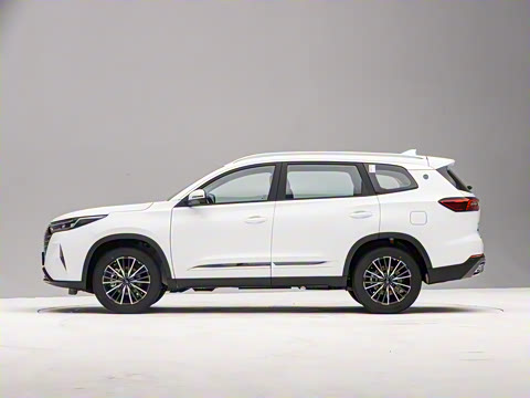 2025�� 290T ��������+