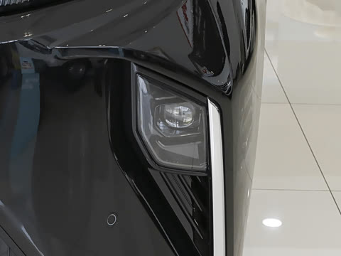 2025�� ���� ����������ԭ�� ����