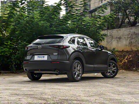 2025�� 2.0L �Զ�������