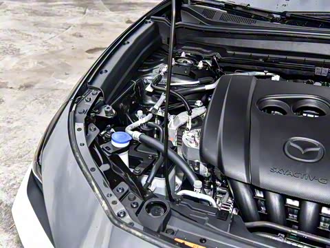 2025�� 2.0L �Զ�������