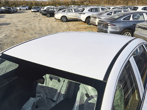 2026�� 60km���ڰ�