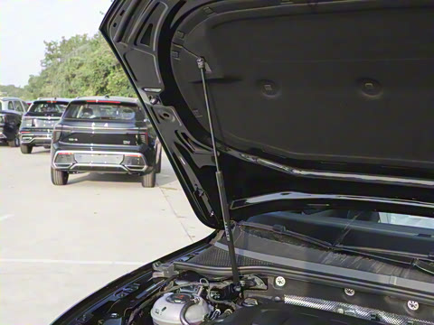 2026�� 3000������ѡ�� 380TSI DSG������